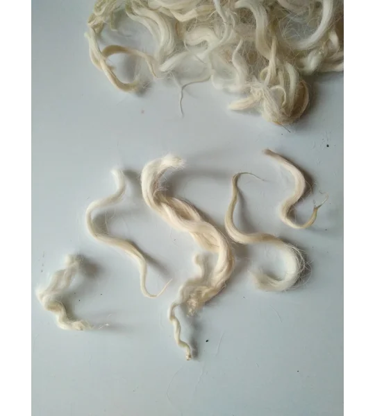 Natural wavy undyed wavy wool and locks
