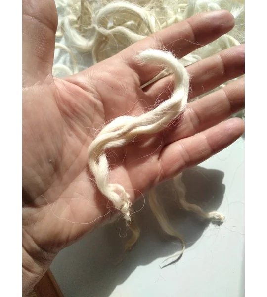 Natural wavy undyed wavy wool and locks