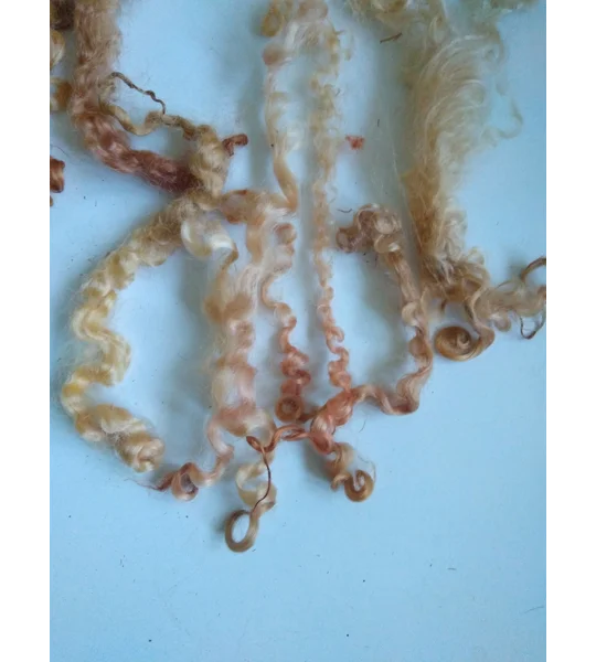 Autumn leaves copper gold pink curly wool (v)