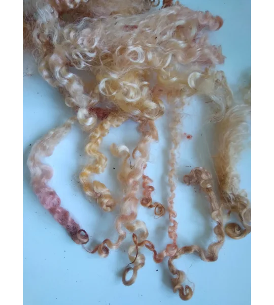 Autumn leaves copper gold pink curly wool (v)