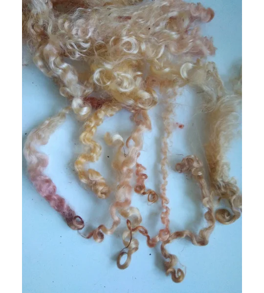 Autumn leaves copper gold pink curly wool (v)