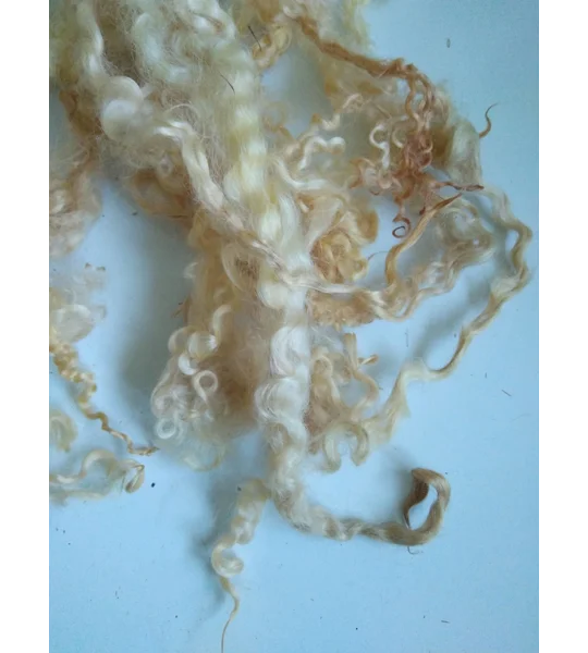 Light golden caramel curly wool (v)