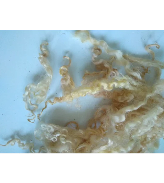 Light golden caramel curly wool (v)