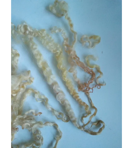 Light golden caramel curly wool (v)