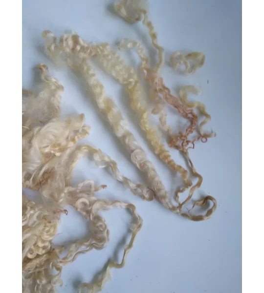 Light golden caramel curly wool (v)