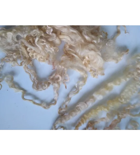 Light golden caramel curly wool (v)