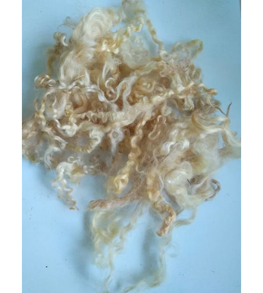 Light golden caramel curly wool (v)