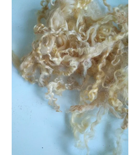 Light golden caramel curly wool (v)