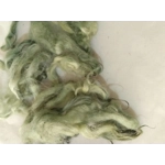 Light sage green curly wool and locks