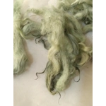 Light sage green curly wool and locks