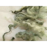 Light sage green curly wool and locks