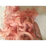 Coral pink curly wool and locks
