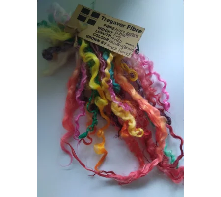 14g curly wool ringlets Rainbow BRIGHTS, budget bunch