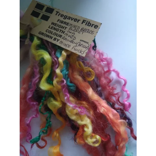 14g curly wool ringlets Rainbow BRIGHTS, budget bunch