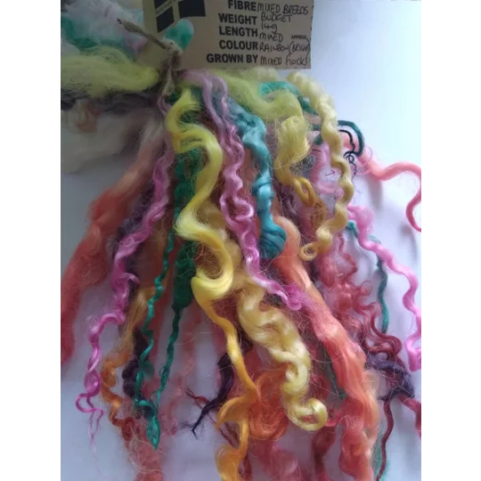 14g curly wool ringlets Rainbow BRIGHTS, budget bunch