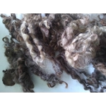 Wensleydale curly wool and locks, natural undyed muticolour (v)