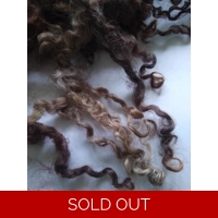 Wensleydale curly wool and locks, natural undyed muticolour (v)