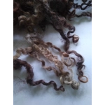 Wensleydale curly wool and locks, natural undyed muticolour (v)