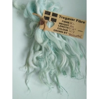 Icy Blue Green wavy wool locks
