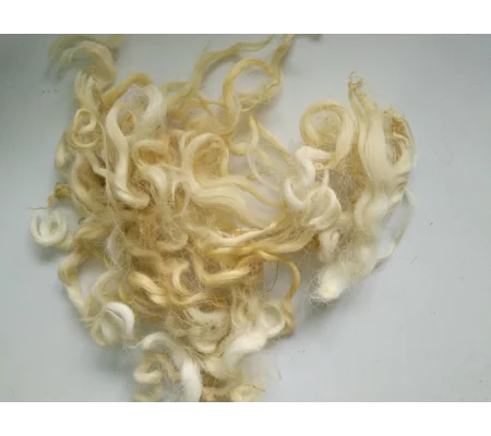 Light blonde and yellow curly wool and locks