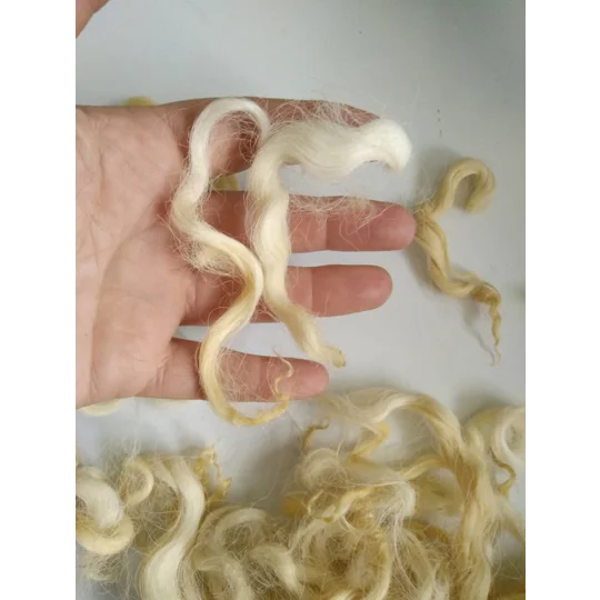 Light blonde and yellow curly wool and locks