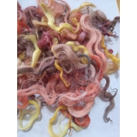 Truly Autumnal curly wool and locks, 10g