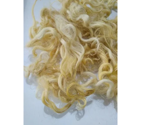 Light Corn Yellow curly wool and locks, 10g