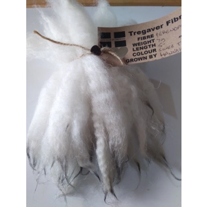 Silver tip dip dyed hand dyed wool locks