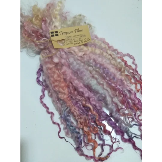 Rainbow mix wenselydale curly wool lock 28g 14g 7g