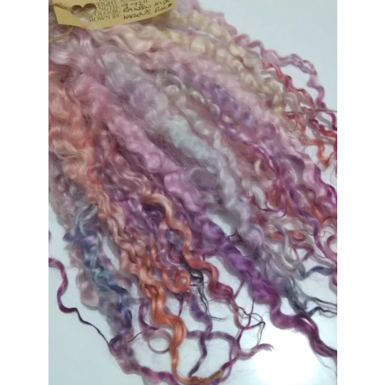 Rainbow mix wenselydale curly wool lock 28g 14g 7g