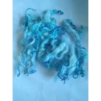 White Faced Dartmoor OCEAN BLUE curly wool