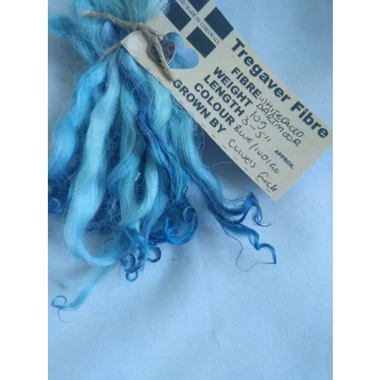 Blue and Indigo wavy white faced dartmoor wool locks