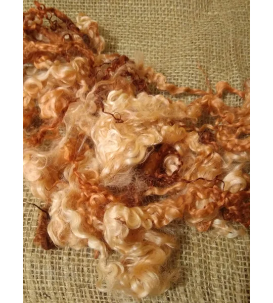 Ginger mix teeswater wool and locks 10g (v)