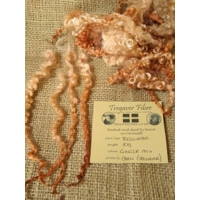 Ginger mix teeswater wool and locks 10g (v)