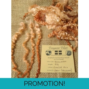 Ginger mix teeswater wool and locks 10g (v)