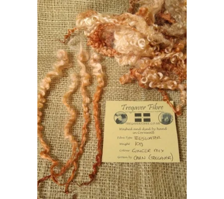 Ginger mix teeswater wool and locks 10g (v)