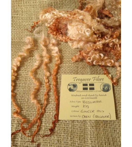 Ginger mix teeswater wool and locks 10g (v)