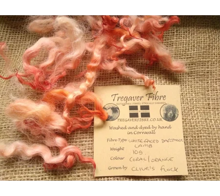 Coral and Orange White Faced Dartmoor lamb curly wool and locks 10g