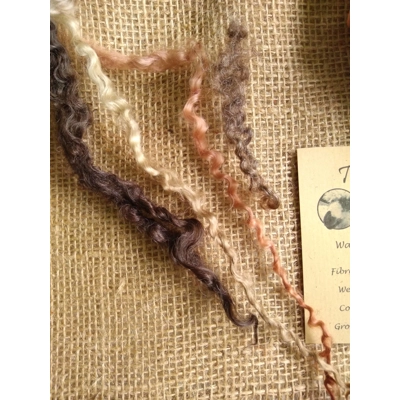 Mixed breeds curly wool, 10g Browns and Blacks Mixed breeds curly wool, 10g Browns and Blacks