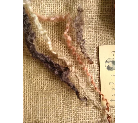 Mixed breeds curly wool, 10g Browns and Blacks