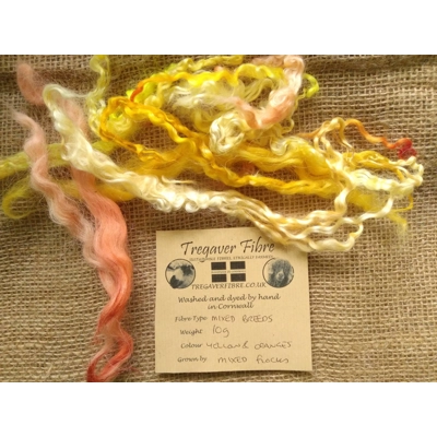 Mixed breeds curly wool, 10g Yellows and Oranges Mixed breeds curly wool, 10g Yellows and Oranges
