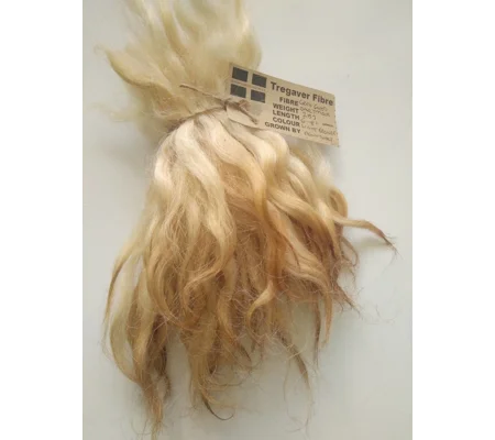 Light Bronze wavy wool locks, Grey Faced Dartmoor, rare breed sheep (v)