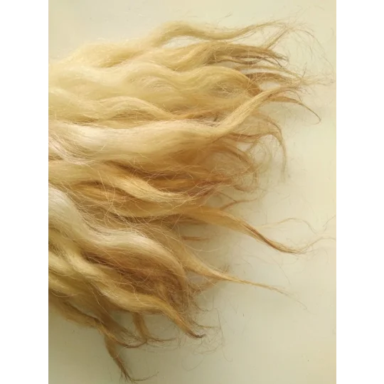 Light Bronze wavy wool locks, Grey Faced Dartmoor, rare breed sheep (v)