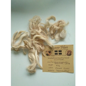 Devon and Cornwall longwool china clay fawn tan  curly wool
