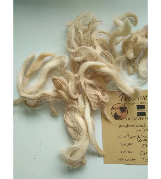 Devon and Cornwall longwool china clay fawn tan curly wool