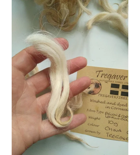 Devon and Cornwall longwool china clay fawn tan curly wool