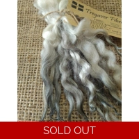 Silver grey dip wavy white faced dartmoor wool locks, 7g