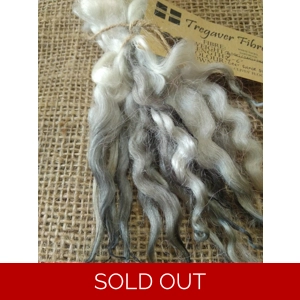 Silver grey dip wavy white faced dartmoor wool locks, 7g