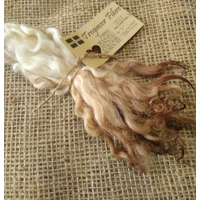 Chestnut Brown dip wavy white faced dartmoor wool locks, 7g