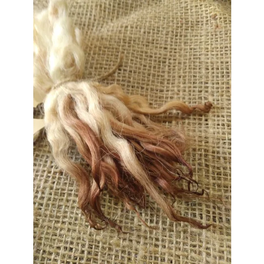 Chestnut Brown dip wavy white faced dartmoor wool locks, 7g